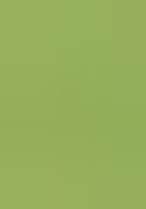 Green Printed Art Silk Lehenga Set