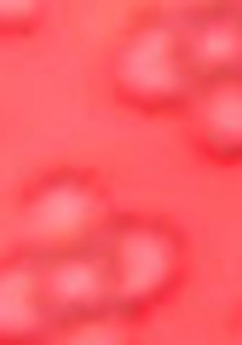 Multicolor Printed Art Silk Lehenga Set