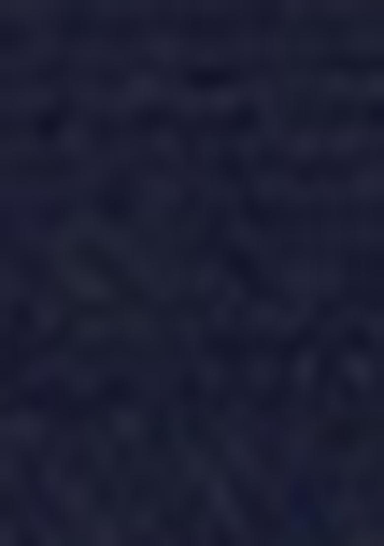 Blue Embroidered Net Lehenga Set