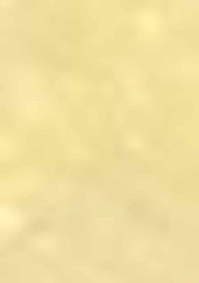 Yellow Embroidered Net Lehenga Set