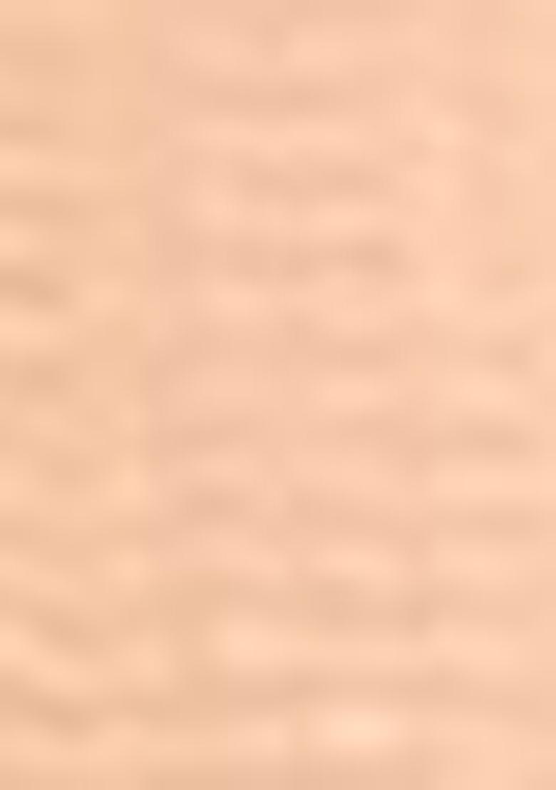 Peach Embroidered Net Lehenga Set