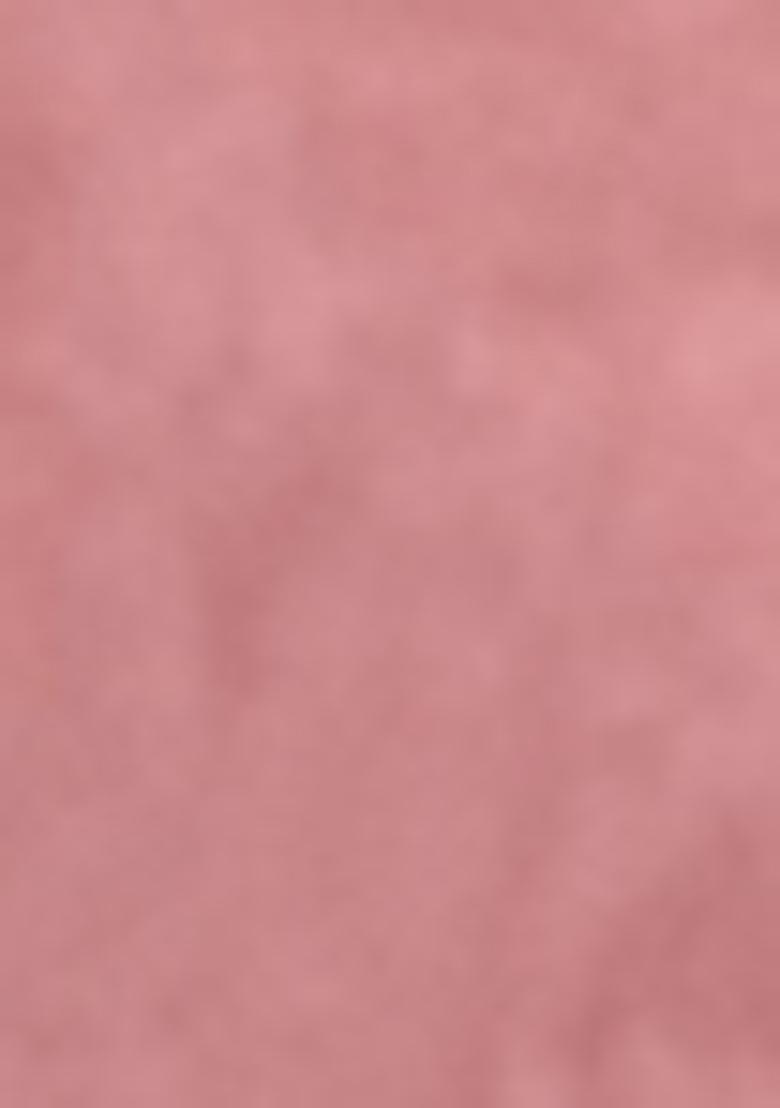 Peach Embroidered Silk Lehenga Set