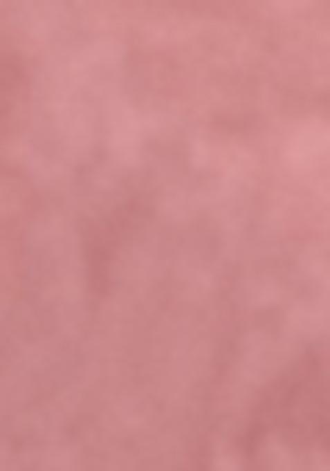 Peach Embroidered Silk Lehenga Set