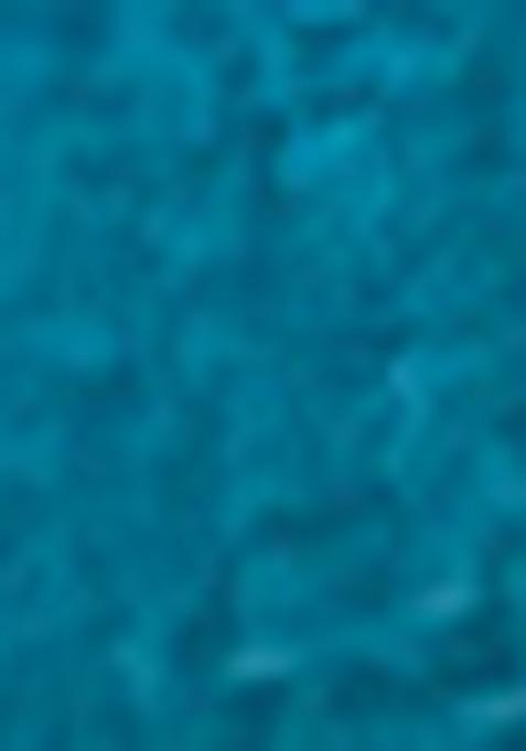 Firozi Embroidered Vichitra Lehenga Set