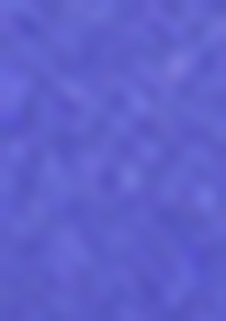 Blue Zari Woven Silk Lehenga Set