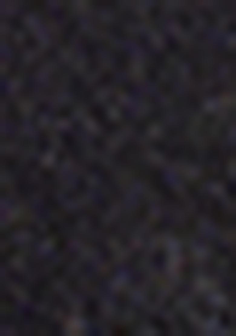 Black Zari Woven Silk Lehenga Set