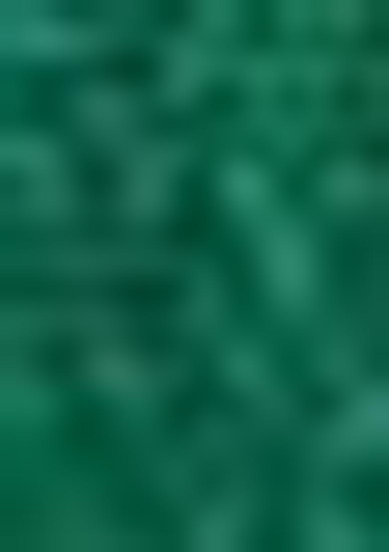 Cream Floral Print Silk Lehenga Set