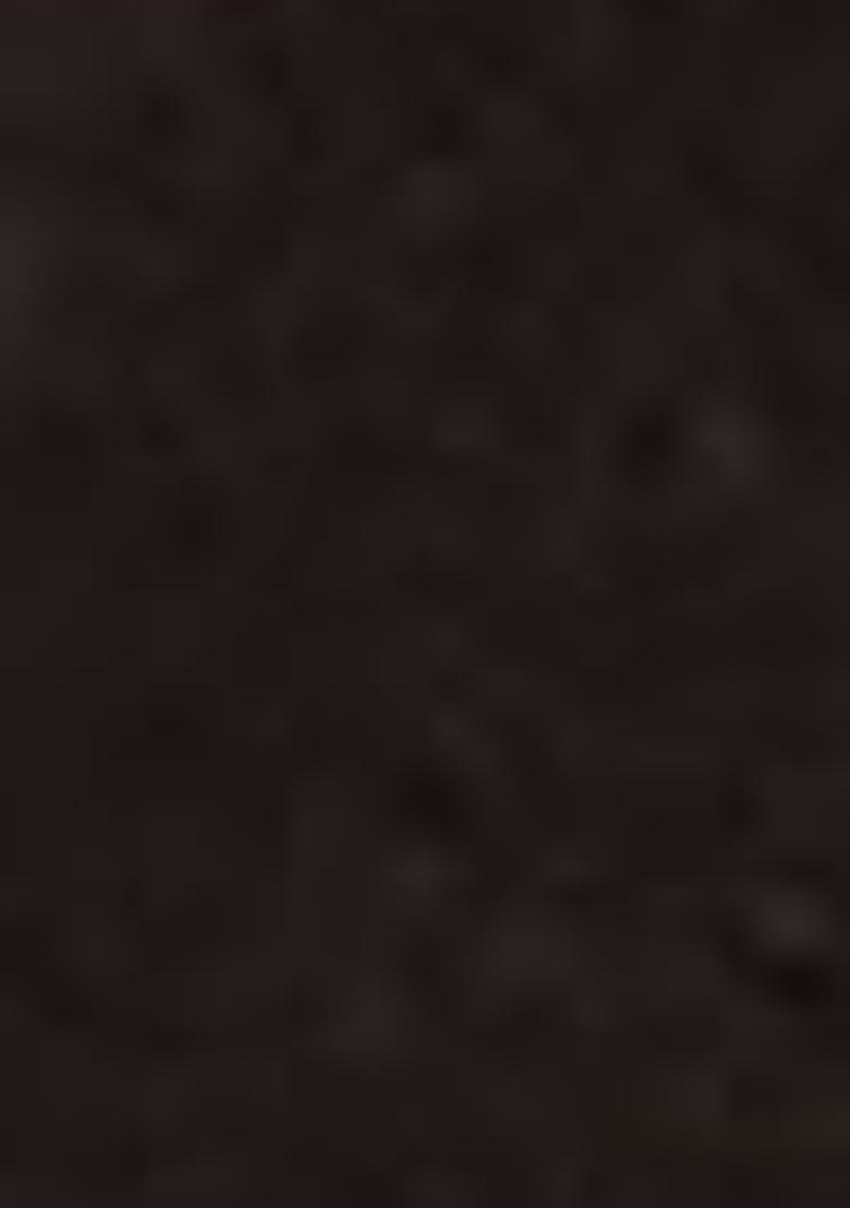 Black Floral Print Silk Lehenga Set