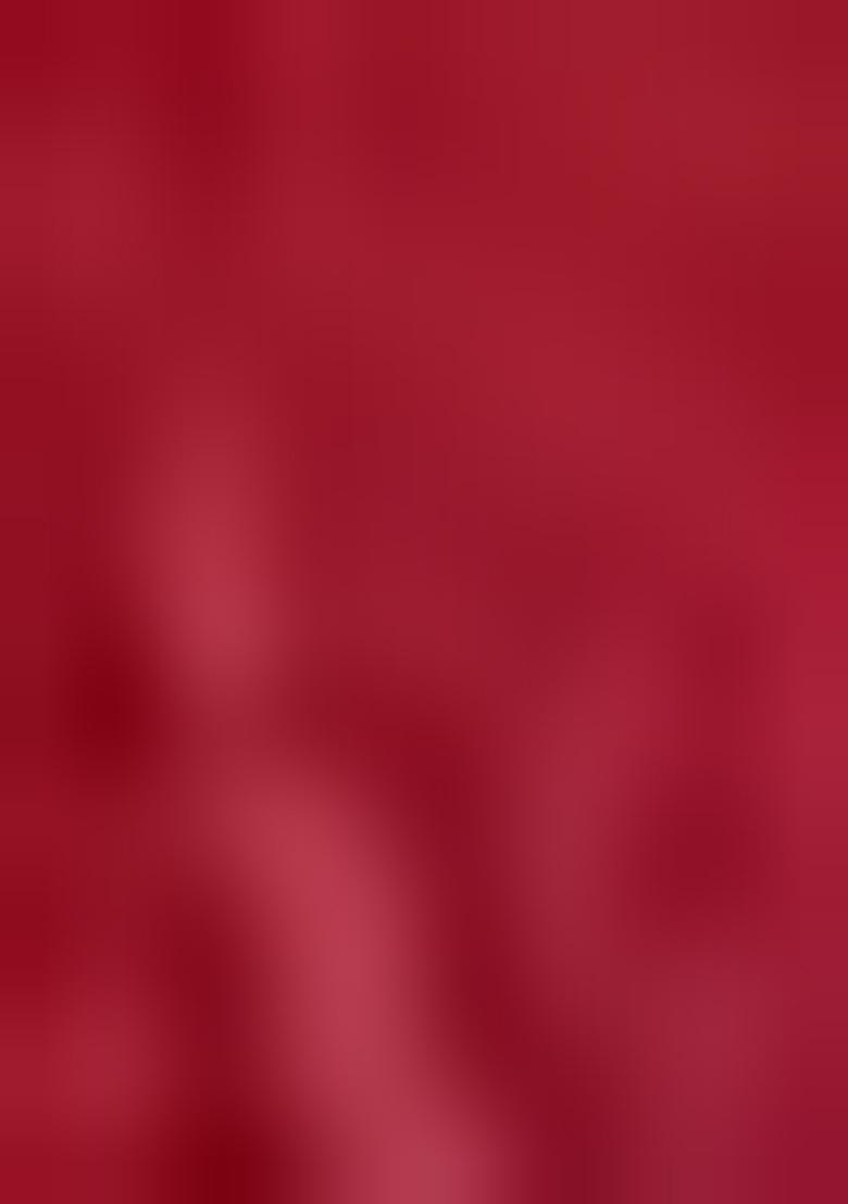 Red Embroidered Poly Blend Lehenga Set