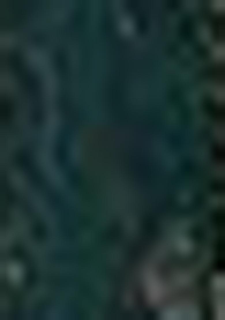 Green Embroidered Poly Blend Lehenga Set