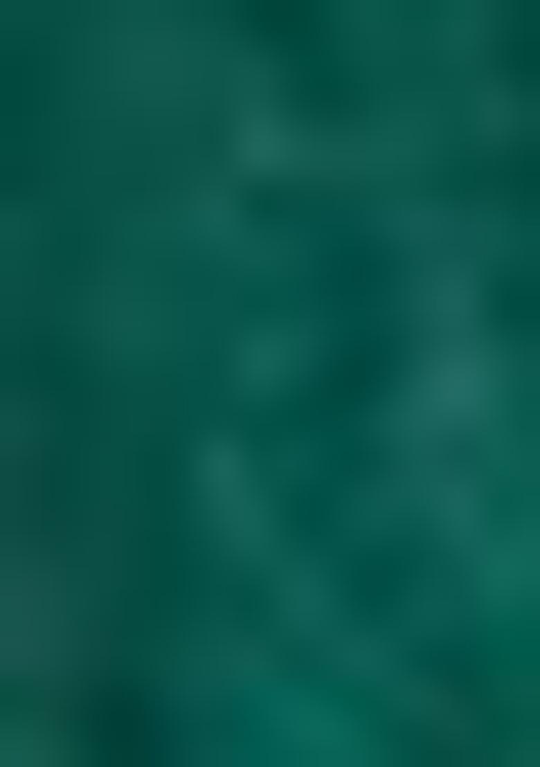 Green Embroidered Mulberry Silk Lehenga Set