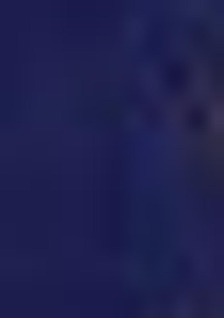 Navy Blue Embroidered Poly Blend Lehenga Set