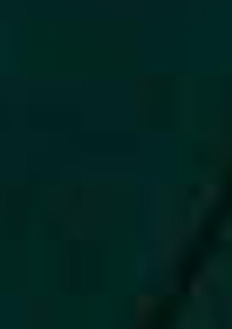 Green Embroidered Silk Lehenga Set