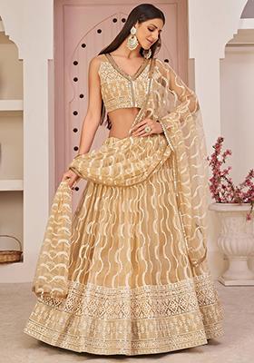 Beige Embroidered Net Lehenga Set