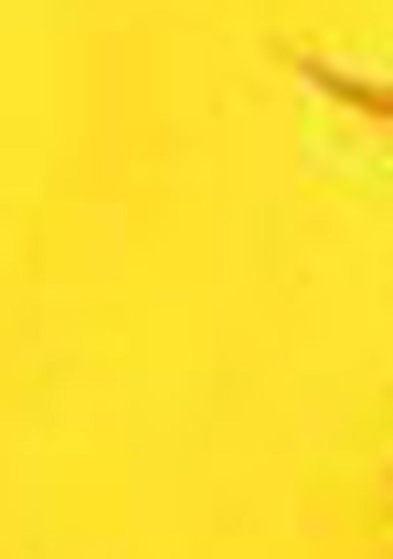 Yellow Embroidered Poly Blend Lehenga Set