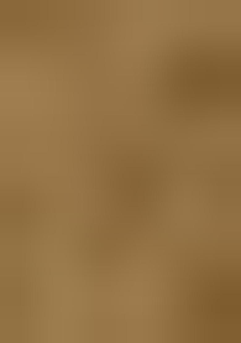 Brown Embroidered Poly Blend Lehenga Set