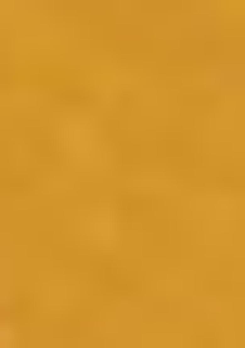 Yellow Digital Print Organza Lehenga Set