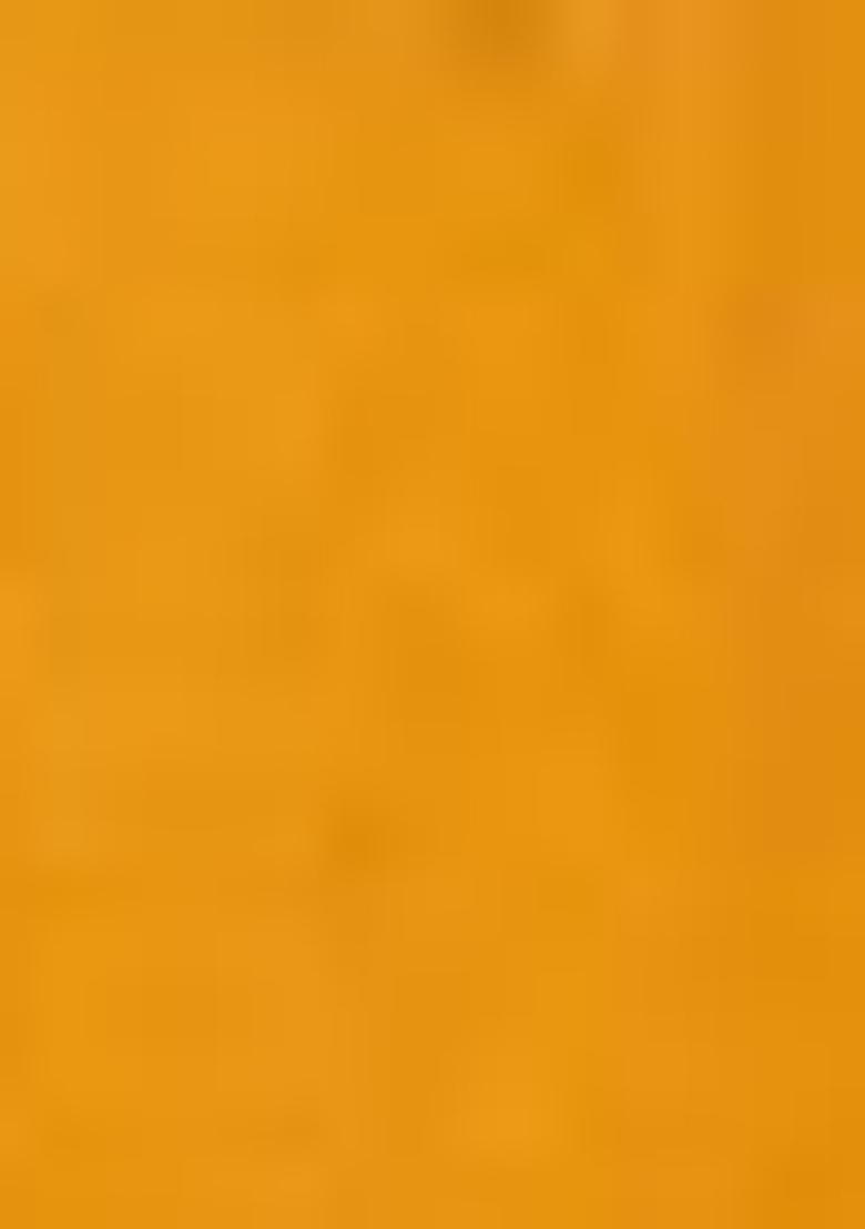 Yellow Sequin Embroidered Net Lehenga Set