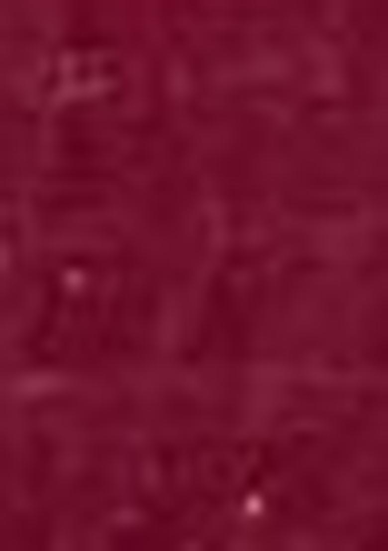 Pink Embroidered Velvet Lehenga Set