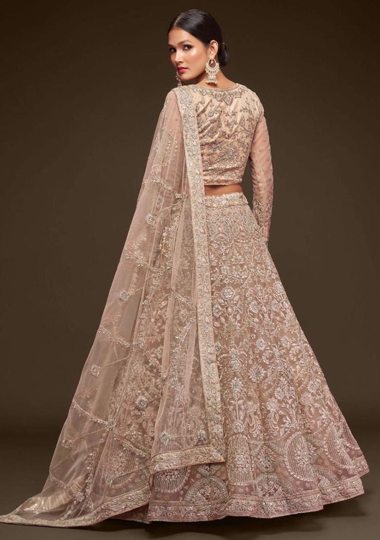 Beige Embroidered Net Lehenga Set