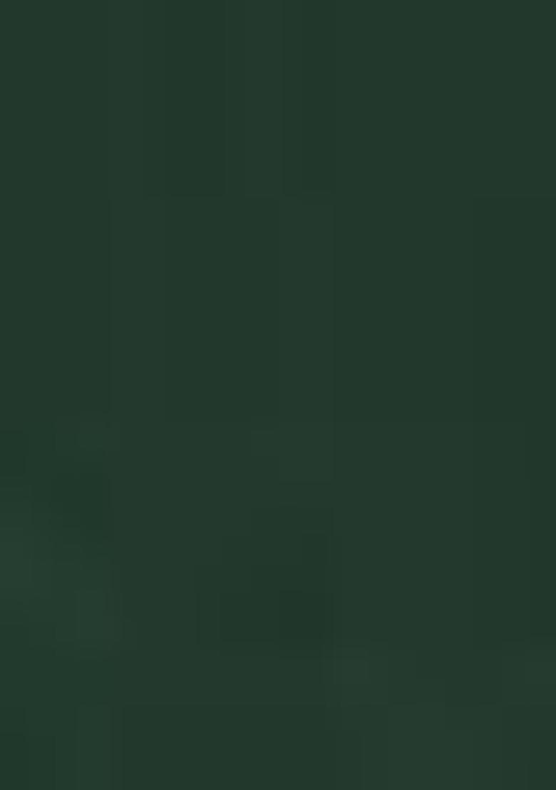 Green Embroidered Art Silk Lehenga Set