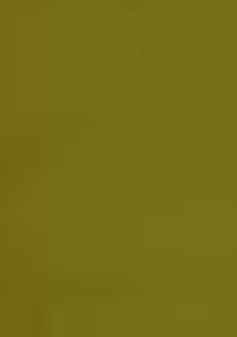 Green Embroidered Net Lehenga Set