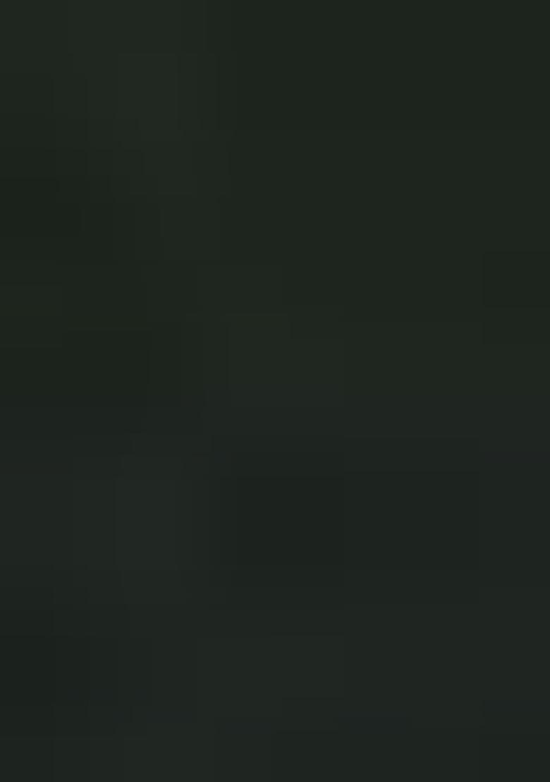 Green Sequin Embroidered Georgette Lehenga Set