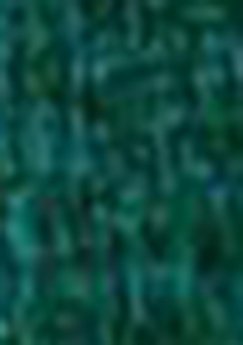 Green Embroidered Mulberry Silk Lehenga Set