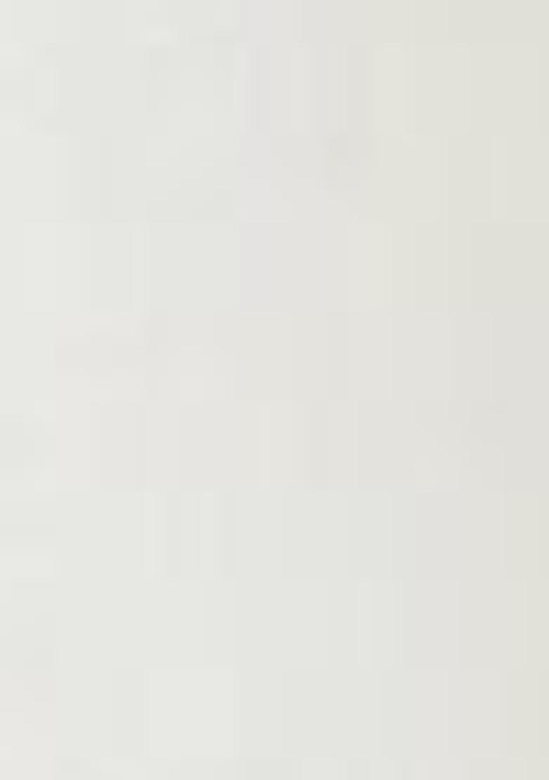 Off White Digital Print Organza Lehenga Set