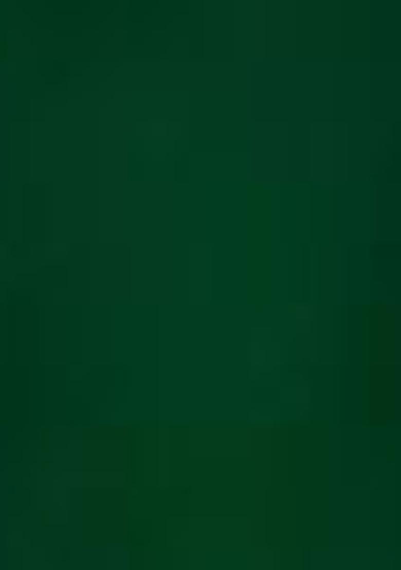 Green Embroidered Silk Lehenga Set