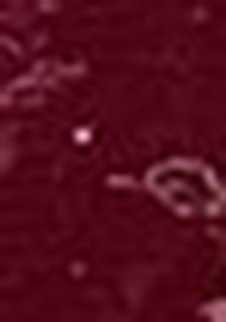 Pink Embroidered Silk Lehenga Set