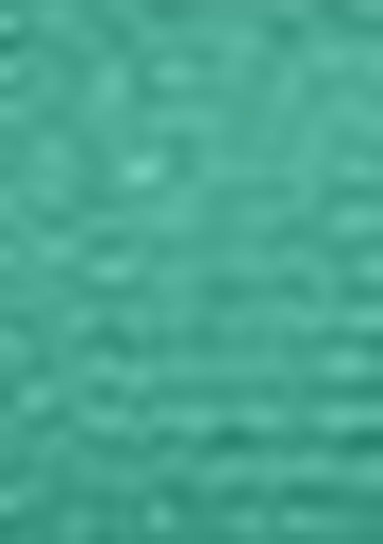 Green Embroidered Net Lehenga Set