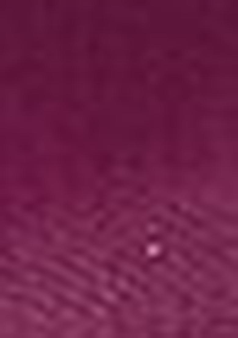 Purple Sequin Embroidered Net Lehenga Set