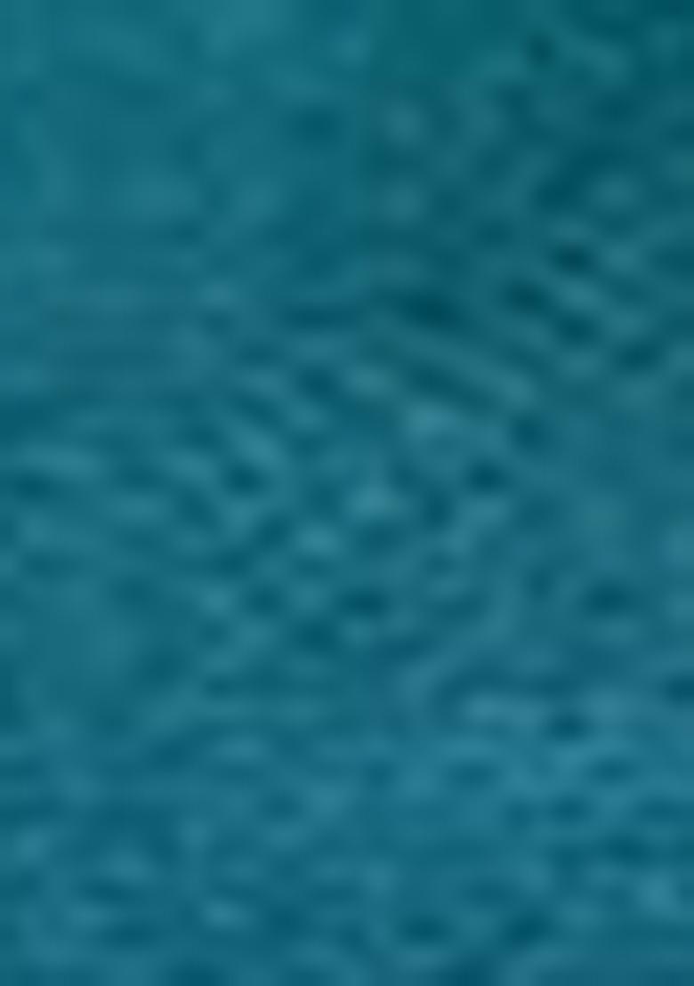 Blue Sequin Embroidered Net Lehenga Set