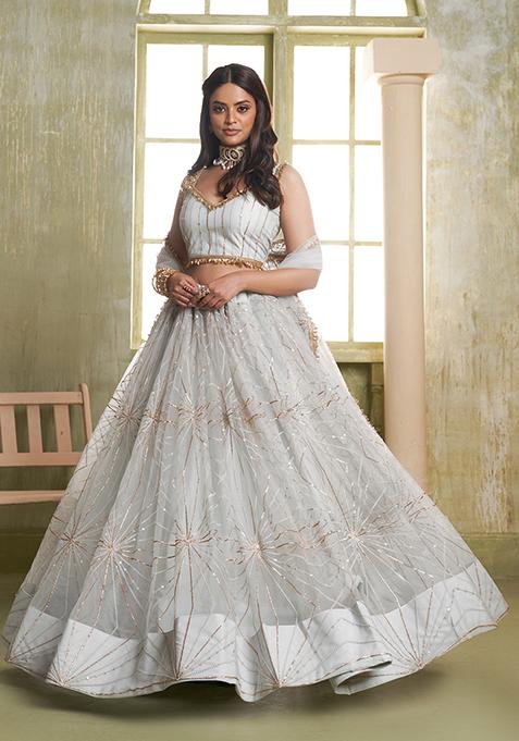 Light Grey Embroidered Butterfly Net Lehenga Set