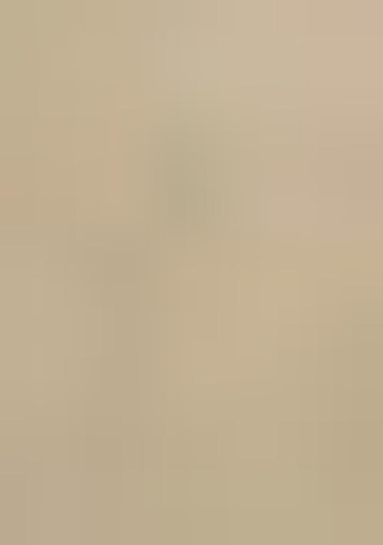 Beige Embroidered Net Lehenga Set