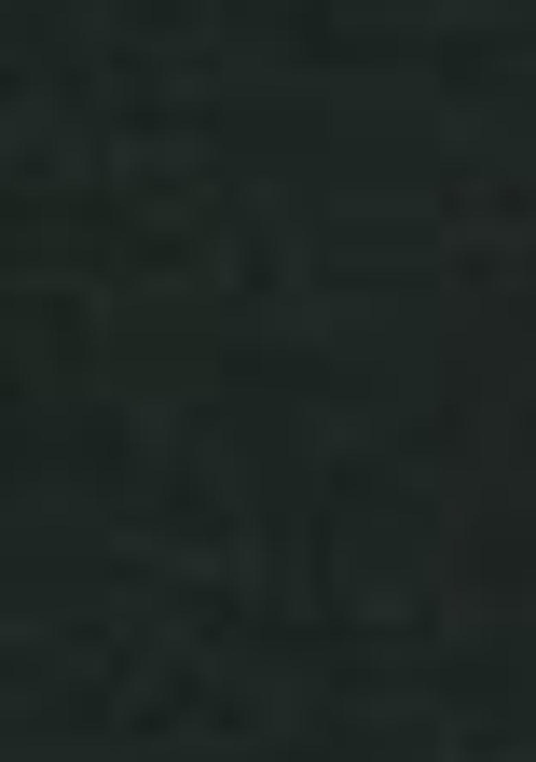 Green Sequin Embroidered Georgette Lehenga Set