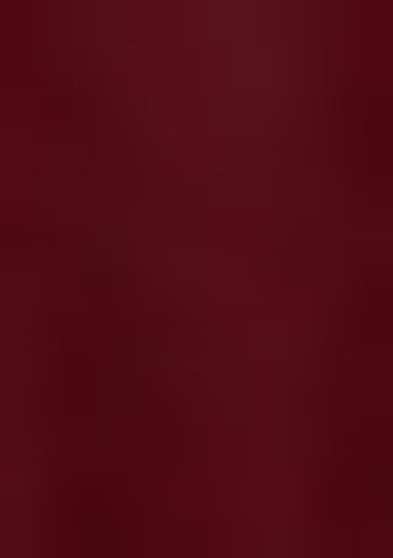 Maroon Embroidered Georgette Lehenga Set