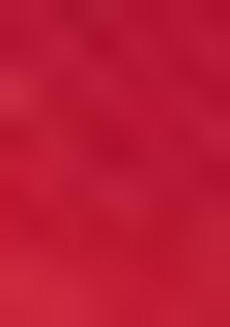 Maroon Embroidered Net Lehenga Set