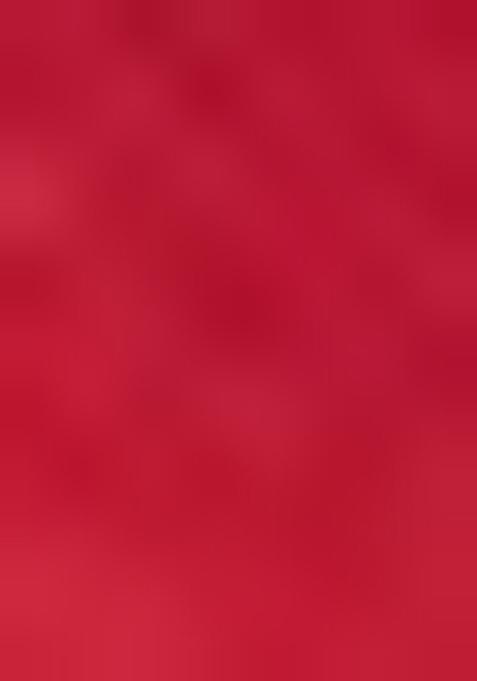 Maroon Embroidered Net Lehenga Set