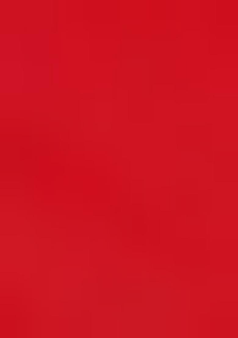 Red Zari Embroidered Georgette Lehenga Set