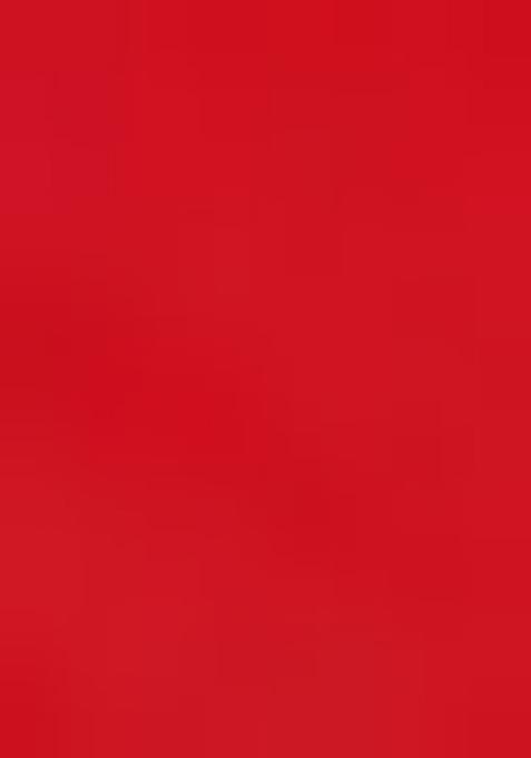 Red Zari Embroidered Georgette Lehenga Set