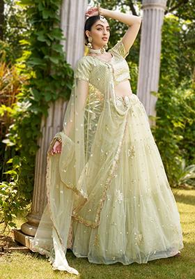 Green Embroidered Net Lehenga Set