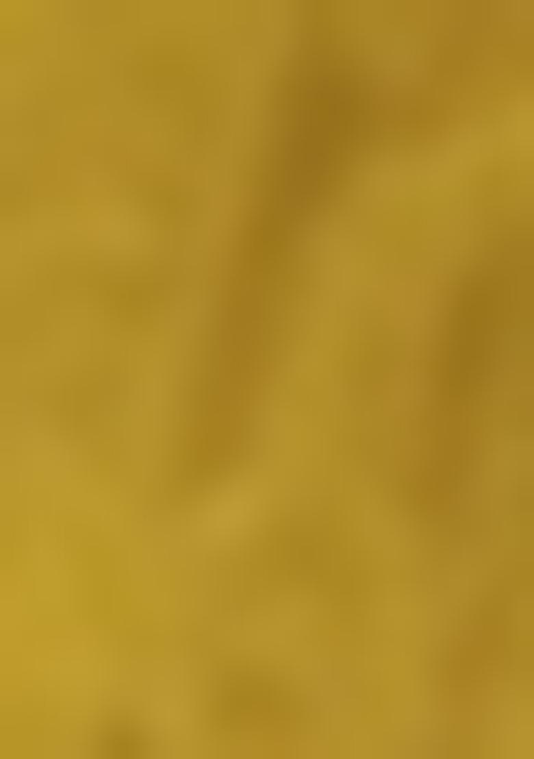 Mustard Yellow Embroidered Net Bridal Lehenga Set