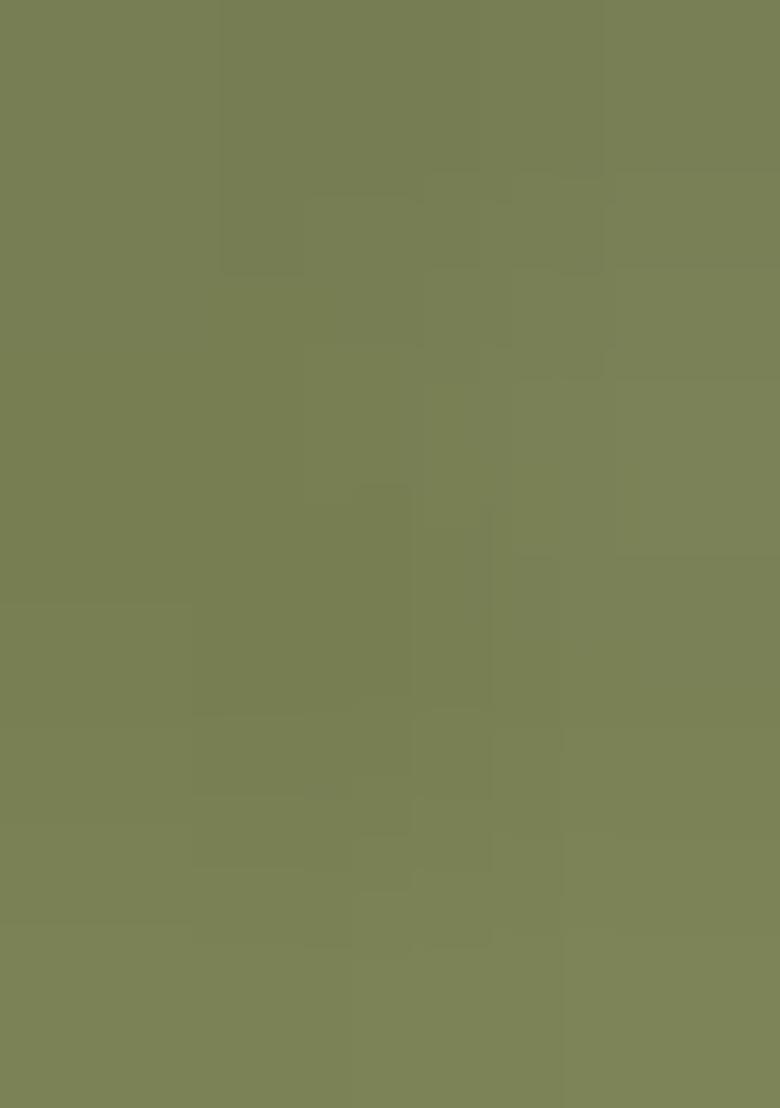 Pista Green Embroidered Net Lehenga Set