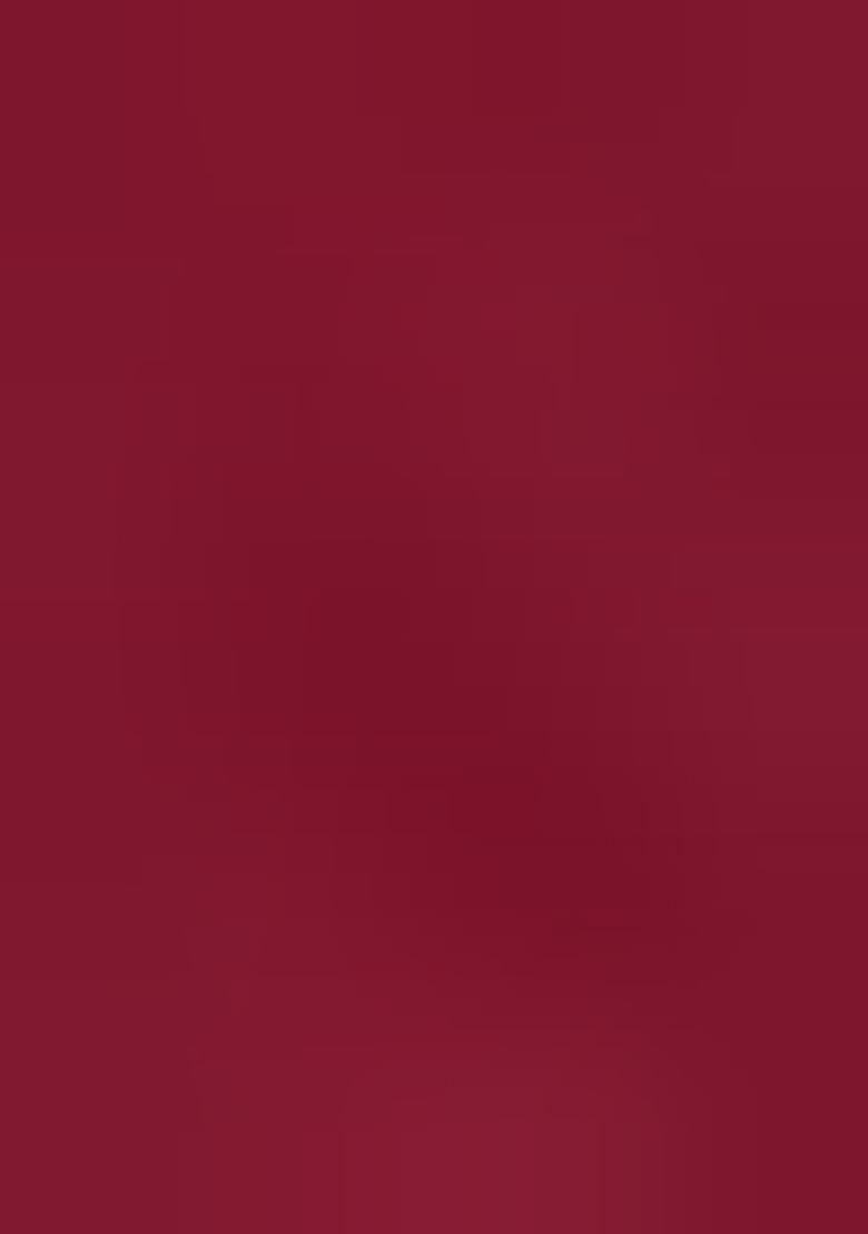 Wine Zari Work Velvet Lehenga Set