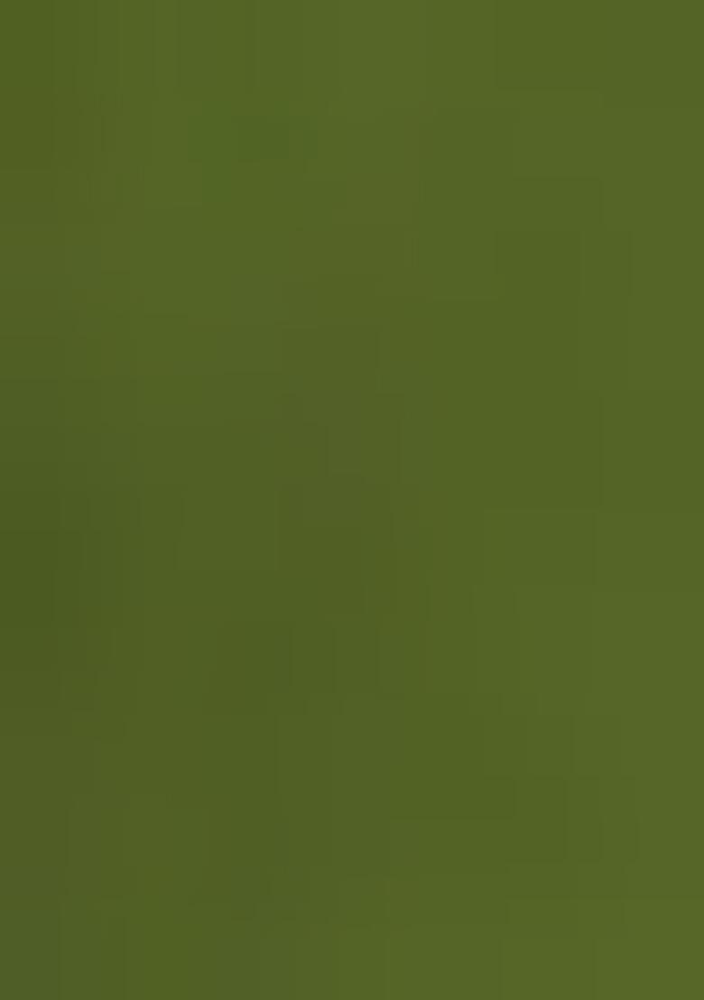 Mehendi Green Embroidererd Georgette Lehenga Set With Dupatta