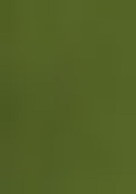 Mehendi Green Embroidererd Georgette Lehenga Set With Dupatta