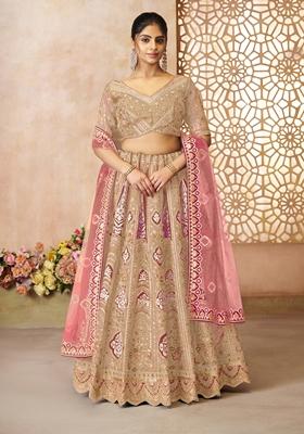 Chiku Brown Aari Work Banarasi Silk Lehenga Set