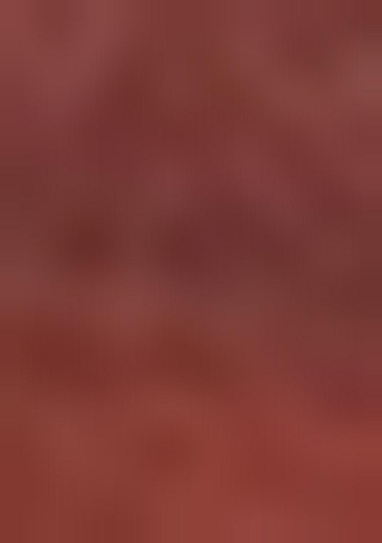 Coffee Brown Sequin Work Banarasi Silk Lehenga Set